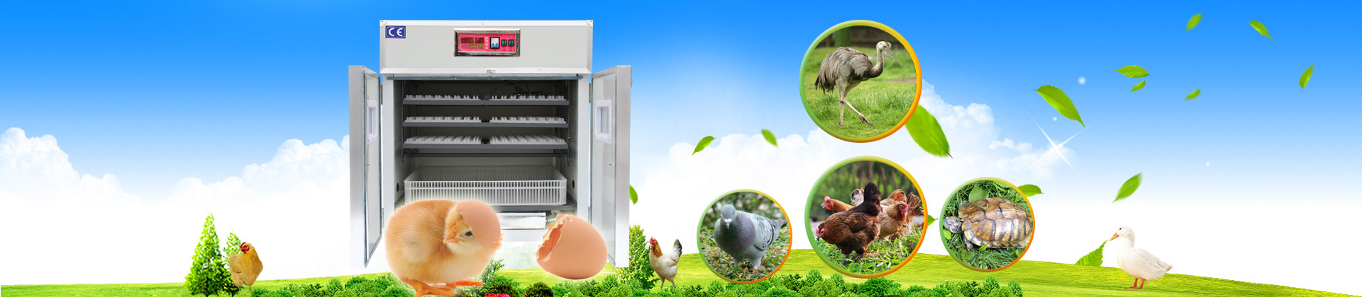 其他页面banner图