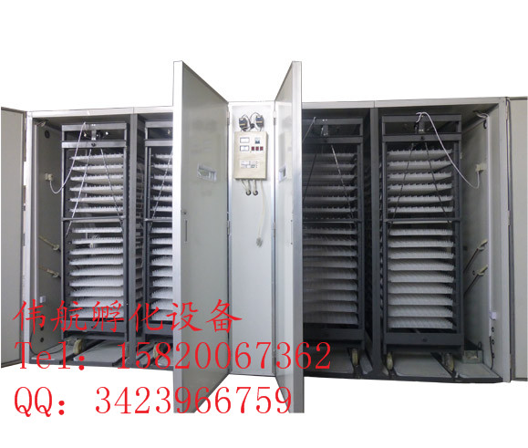 1471699083102888.jpg 19712.jpg