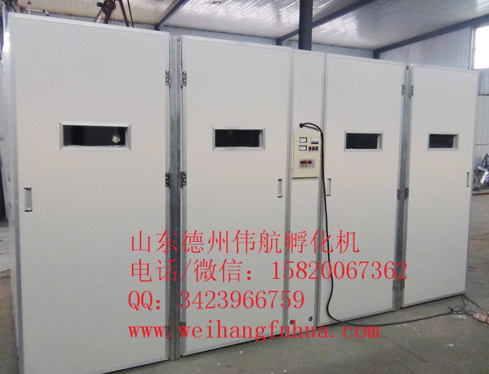 1473319038114511.jpg 16896型孵化机.jpg