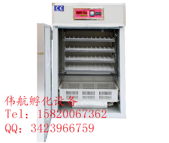 1474882595107273.jpg 352.jpg