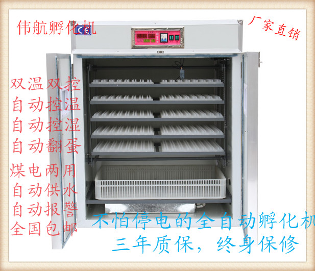 1482641729131113.jpg 880.jpg